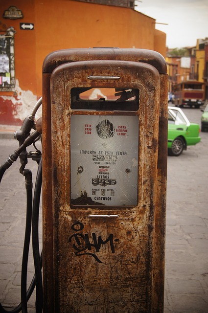 family expenses example Leon Guanajuato
